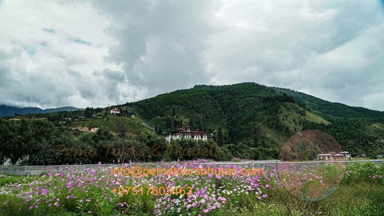 Paro Dzong with Cosmos