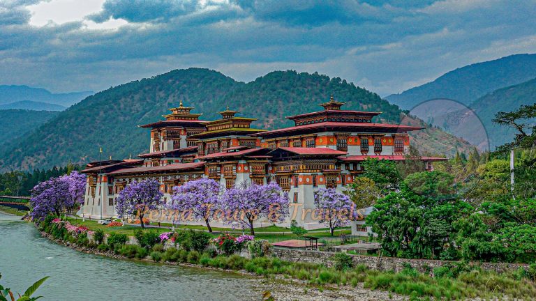 Punakha Dzong