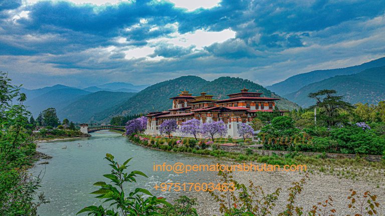 Punakha Dzong With Info